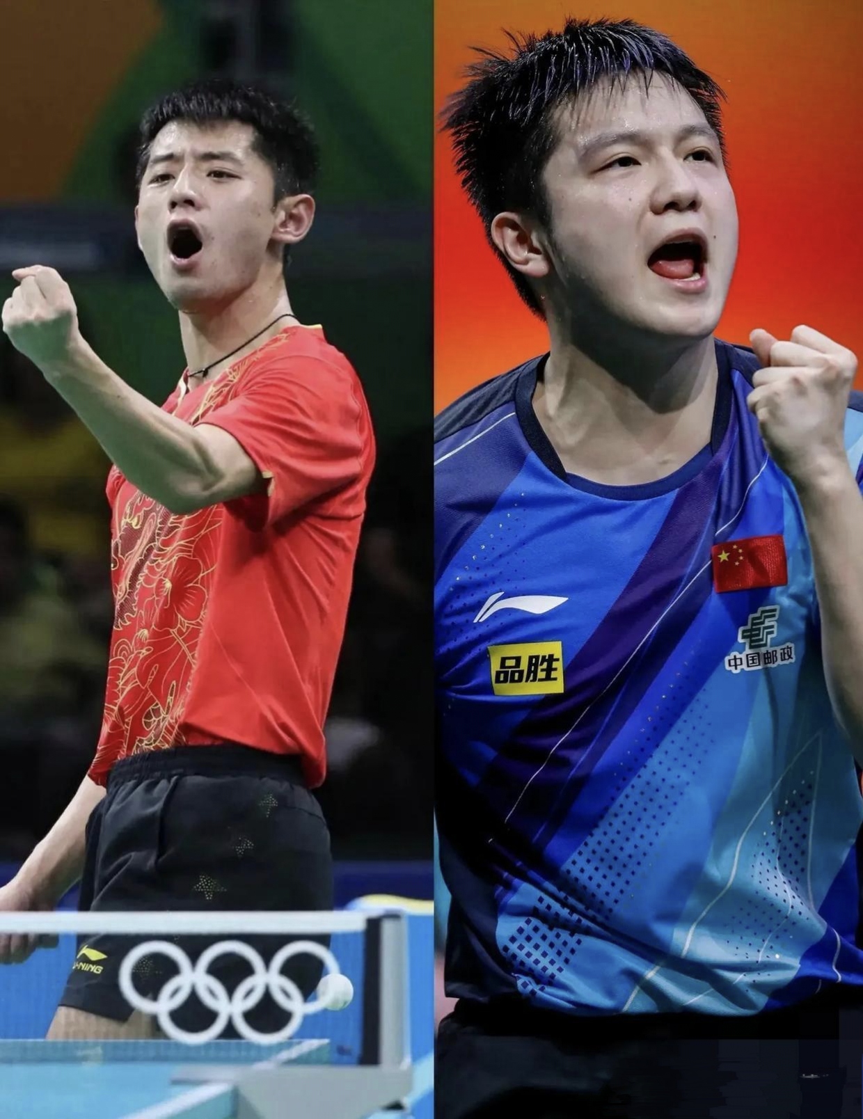 比利时乒乓球队横扫英国乒乓球队，张继科送出助攻的简单介绍