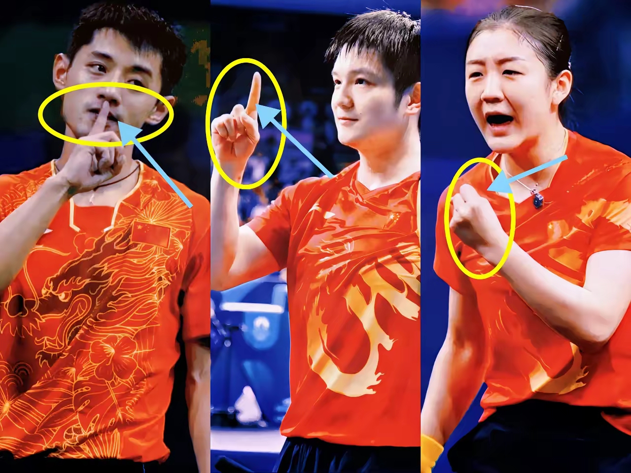 包含波兰队碾压英格兰队，张继科状态火热的词条