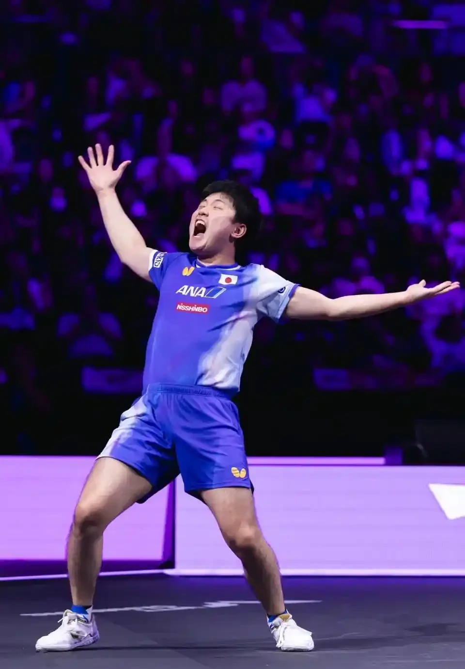 日本队完胜韩国队，张本智和状态火热